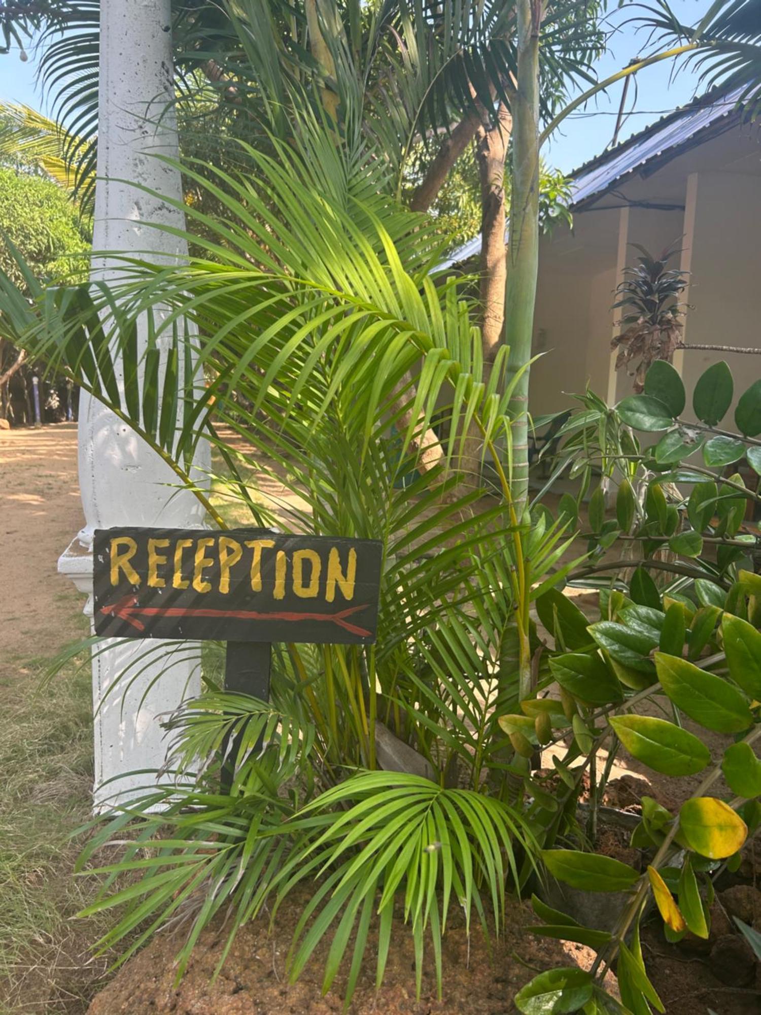 Starfish Beach Bungalow 阿鲁甘湾 外观 照片